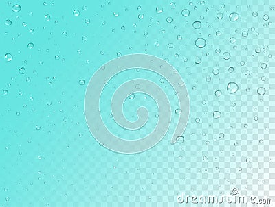 Vector rain water drops on transparent background. Pure droplets condensed. Realistic pattern on window glass surface Vector Illustration